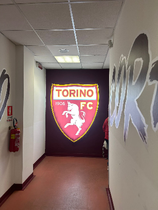 Cairo-Vanoli prove di tregua. L’allenatore verso la riconferma?